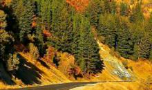 当你年华已逝_150字