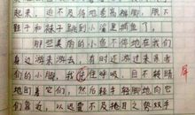 快乐的星期天_300字