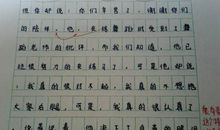 [我的偶像]胡老师_800字