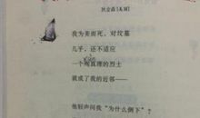 给青春的诗_100字