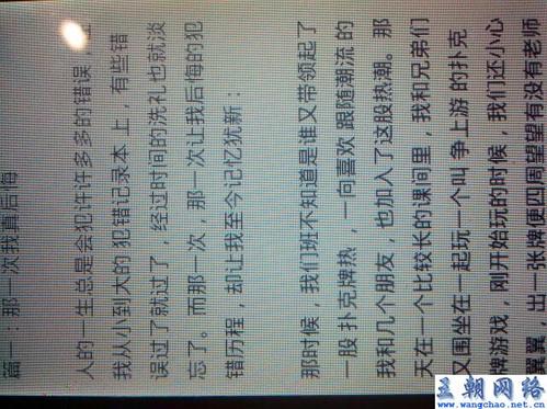 新年的作文：新年前夜_550字