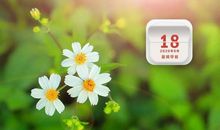 会说话的花_650字