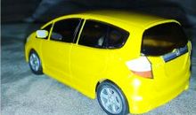 坐飞“鸡”_450字