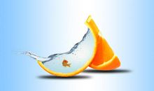 鱼儿的自由_1000字