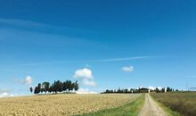 诗意地生活_1000字