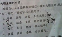 错别字调查报告_450字