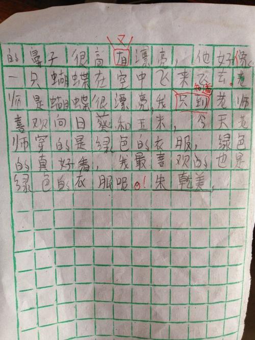 二年级叙事成分：播放苍蝇_250字