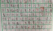 二年级叙事作文：打苍蝇_250字