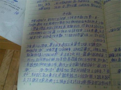 书籍上的组成：预订_900字