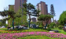 我们小区的花坛_450字