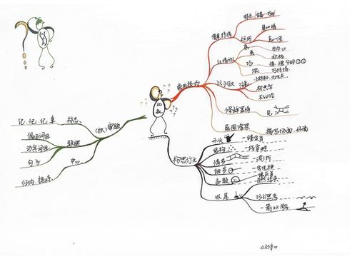 地板_1000字
