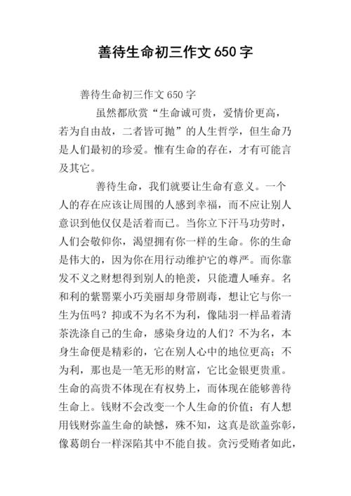 前三个英语作文：公司_650字