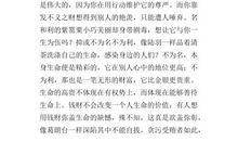 初三英语作文：Company_650字