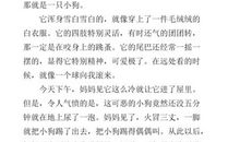 关于爷爷的作文：爷爷的小狗_400字