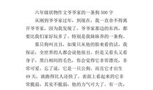 关于爷爷的作文：爷爷_800字