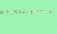关于爷爷的作文：爷爷_700字