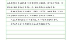 关于爷爷的作文：爱鸟着迷的爷爷_750字