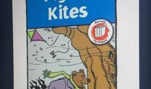 初三英语作文：Flying Kites_700字