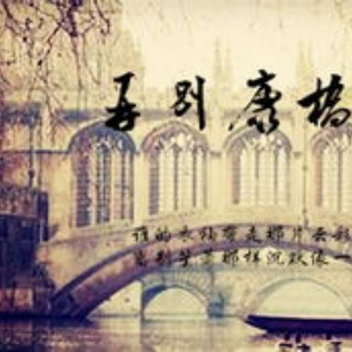 徐志梅的“不要聪桥”的欣赏