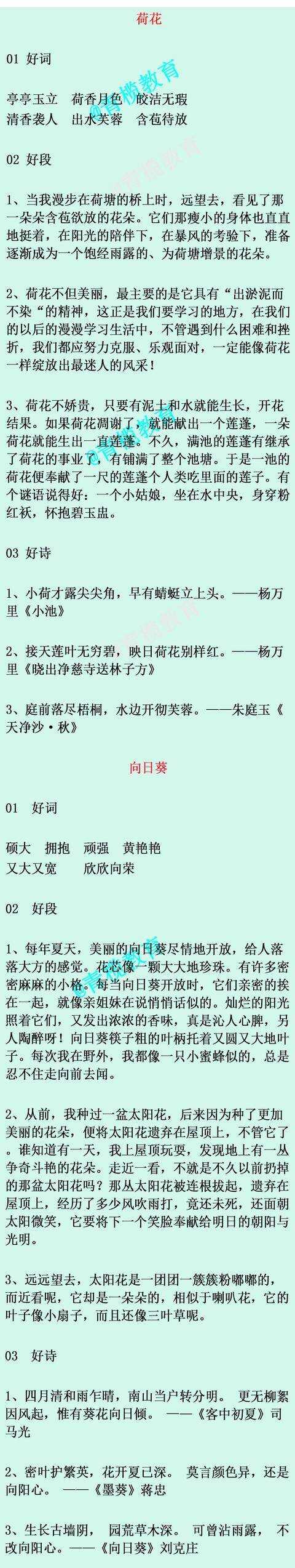 用气象技能描述本赛季