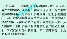 描写季节与气象的好词好句