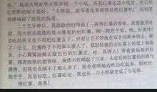 关于劳动节的作文：我尝到了劳动的乐趣_400字