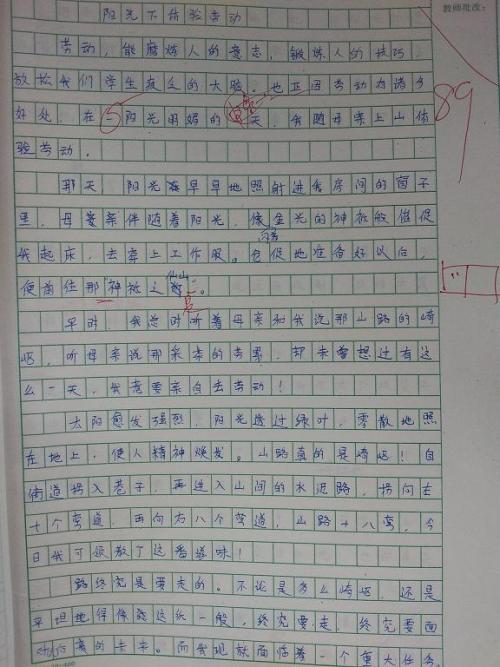 劳动节的构图：顺丰农场劳动力_700字