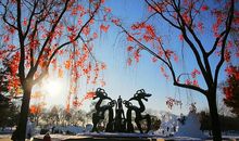 走进童话梦想_650字