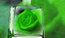 贵有一颗平和心_1200字