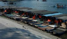 [过年征文]井底之蛙_2000字