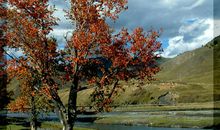 美丽的新都桥_2000字