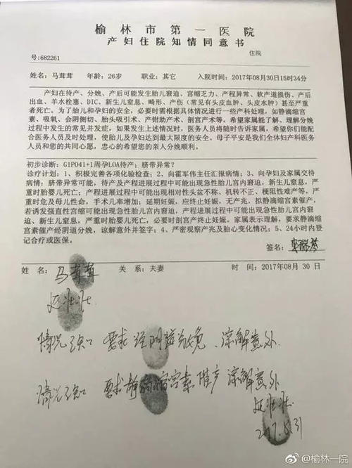 一个悲伤的春节（2）_700字