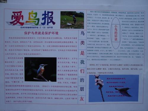 爱鸟天_650字