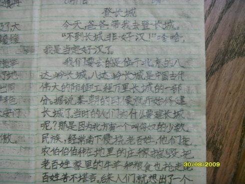 劳动的组成：劳动力_500字