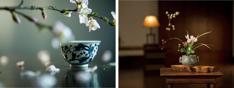 风和花对话