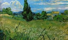 五年级观后感：《至爱梵高》_450字