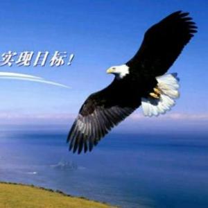五年的观点：Eagle重生_650字