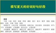 夏天优美段落：在夏天里段落_750字