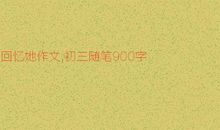 回忆_900字