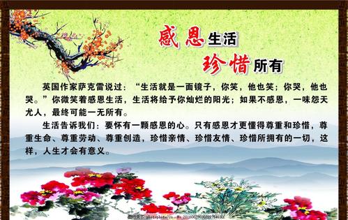 珍惜自己，会快乐_800字