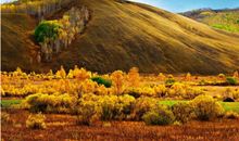 秋叶，冥思_3000字