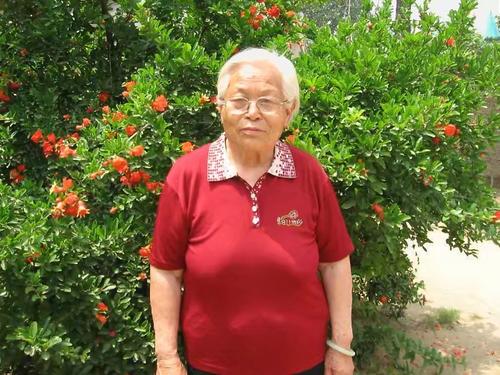 我的思想，校园，美丽神圣的_400字