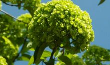 [春天来了]春天的那一缕阳光_900字