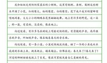 关于家乡的作文：话说我的家乡美_1200字