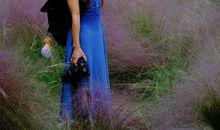 [梦想征文]无题_300字