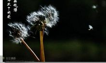 [梦想征文]梦想带我振翅飞翔_1500字