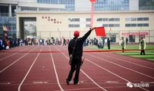 运动会见闻_800字