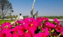 畅想2008奥运会(六年级)_600字