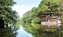 美丽的从化_600字