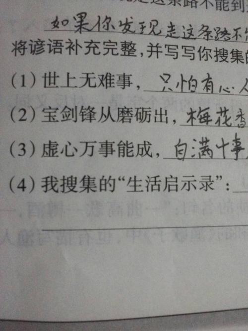 骄傲着名的谚语（1）_650字